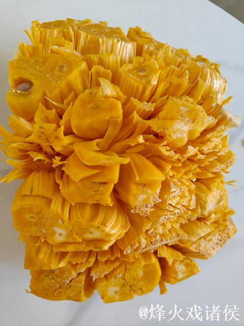 菠萝蜜视频无限免费畅享高清内容