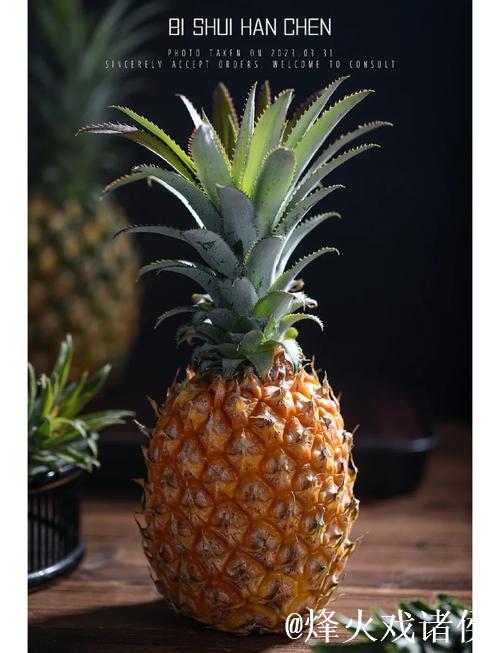 如何拍摄精彩的菠萝手机开机视频教程